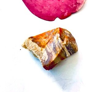 New Petrified Wood Brown Tan Natural Free Form Specimen Chunk 23.9g Ultraviolet